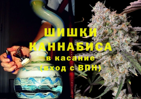 PSILOCYBIN Гусев
