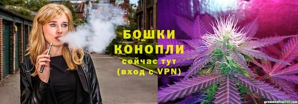 PSILOCYBIN Гусев