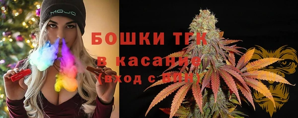 крисы Лабытнанги