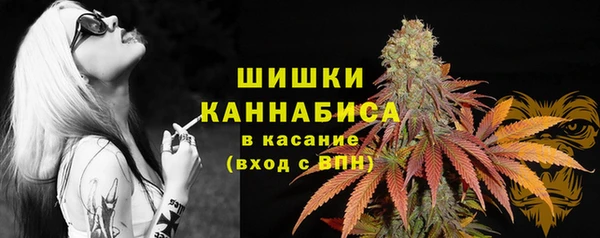 PSILOCYBIN Гусев
