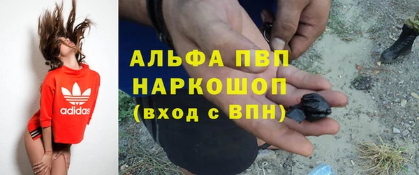 PSILOCYBIN Гусев