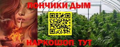 шишки Бузулук