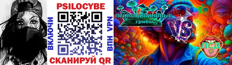 закладки  МЕГА ТОР  Псилоцибиновые грибы Psilocybine cubensis  Елизово 