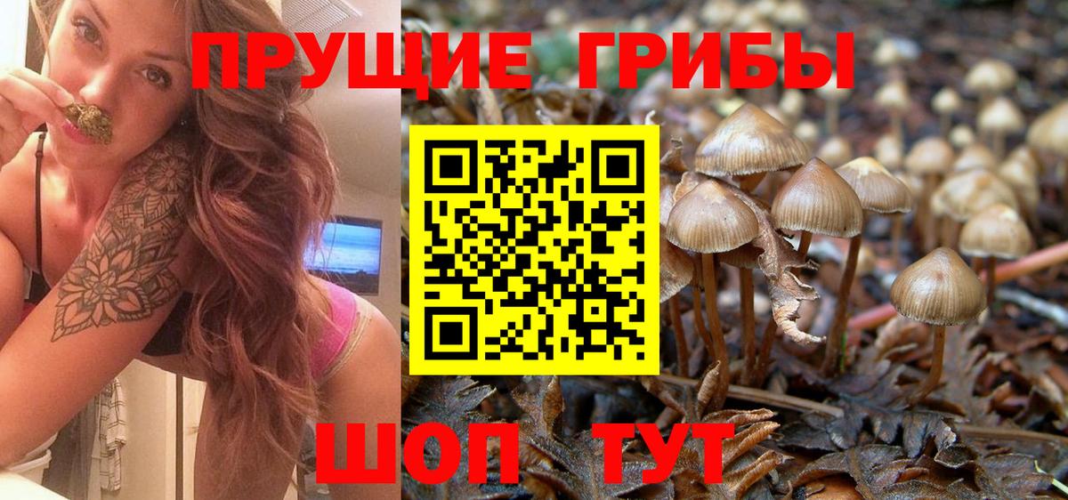 Псилоцибиновые грибы мухоморы Елизово