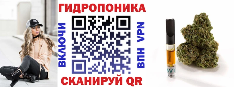 Шишки марихуана гибрид  закладка  Елизово 